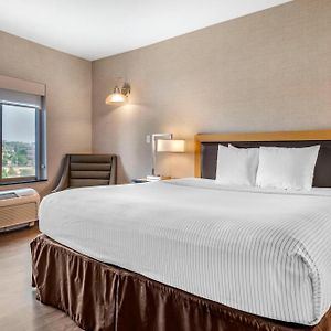 Suite Lit King-Size